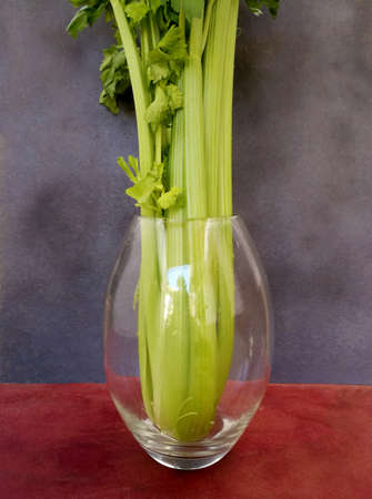 artistic celery as a vegetable bouquet on grey backgroundの写真素材