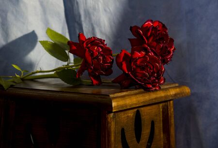 Withered roses on vintage pedestal.の写真素材