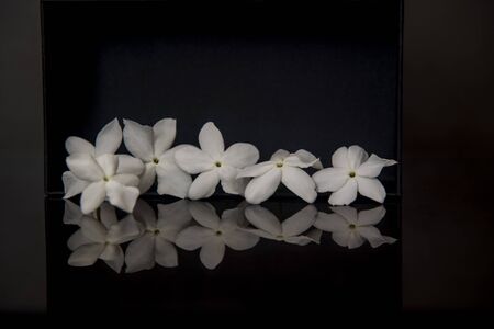 little flowers with reflections on a black boxの写真素材