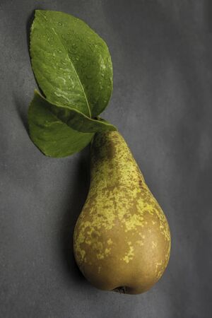 pear conference on metallic grayの写真素材