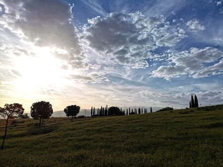 sunrise in a grass meadow with cloudy sky
