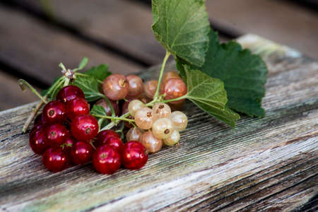 red and white currants on wooden table