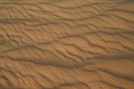 desert sand