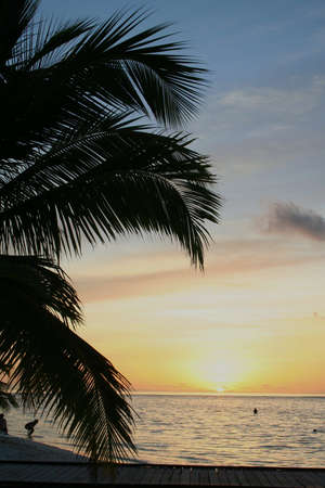 sunset at paradise beach at island of maldivesの写真素材