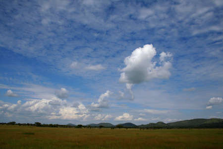 typical landscape at west of tanzaniaの写真素材
