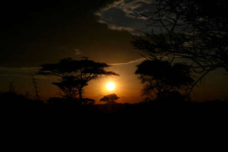 Sunset at serengeti national park, tanzania, africaの写真素材