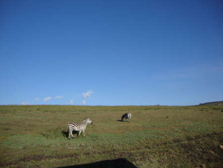 view at ngorongoro crater in tanzania, africaの写真素材