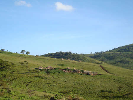 view at ngorongoro crater in tanzania, africaの写真素材
