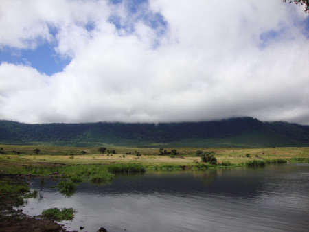 hippo pond in ngorongoro crater, tanzaniaの写真素材