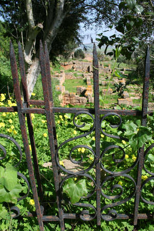 Cellah - ruins of roman buildings in Morocco, Rabat の写真素材