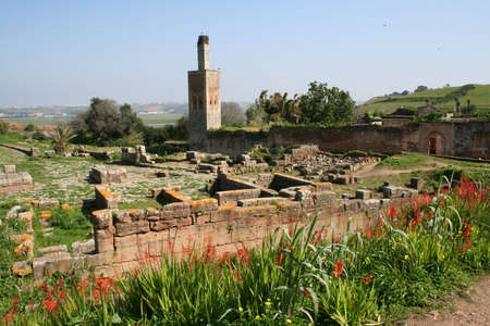 Cellah - ruins of roman buildings in Morocco, Rabat の写真素材