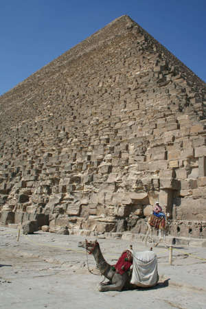 Camel in front of famous Pyramid og Giza (Gizeh)の写真素材