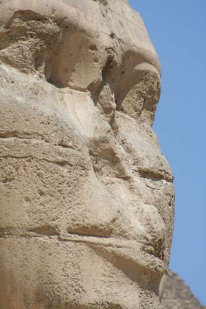 The Sphynx in gaza (Gizeh), Egyptの写真素材