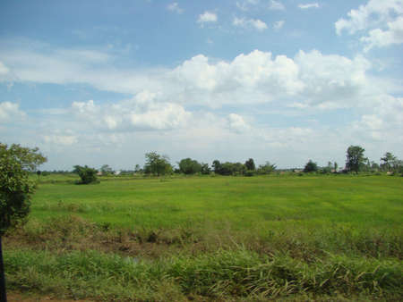 cambodian rice fields の写真素材
