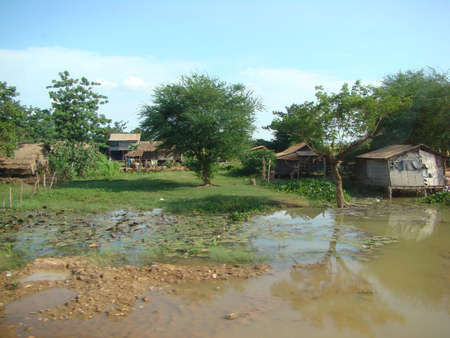 cambodian rice fields の写真素材