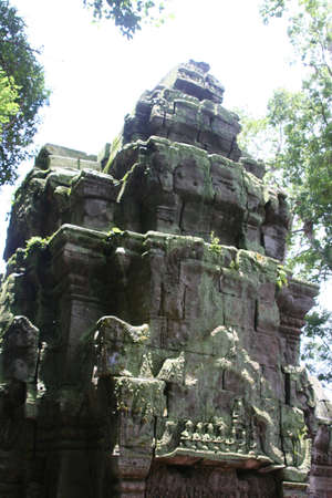 Ta Prom Temple in Angkor, Cambodiaの写真素材