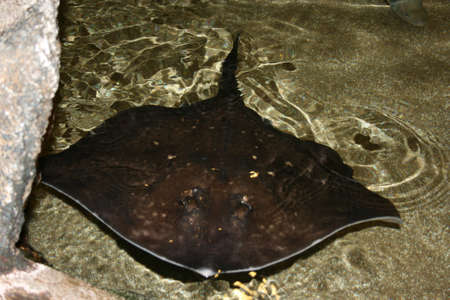 under water