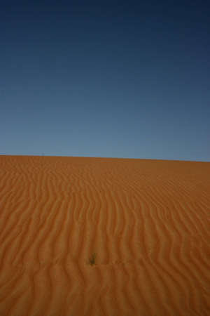 The desert Wahiba sands in Oman, arabian peninsula の写真素材