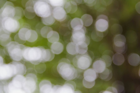 Green bokeh burry backgroundの写真素材
