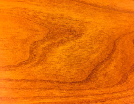 Brown bark pattern texture backgroundの写真素材