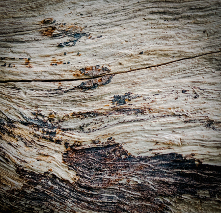 Background texture of old woodの写真素材