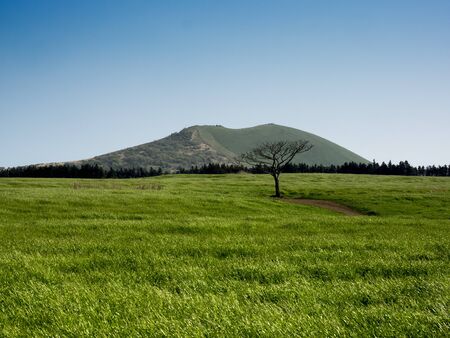 jeju islandの写真素材