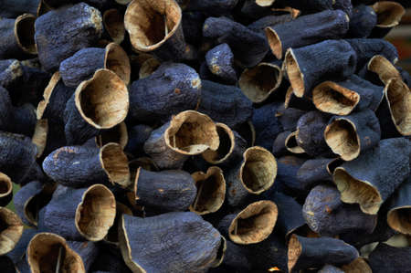 dried eggplantsの写真素材