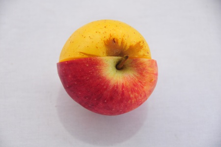 appleの写真素材