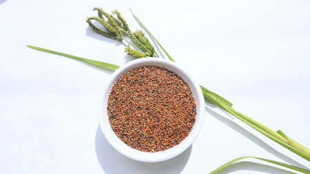 Red millet in a bowl on a white background. Isolatedの写真素材