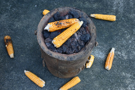 Grilled Sweet corn cob. This is a complete food for humans. It contains many vitamins. Grilled corn cob on coal stove. It's like all over world. Heathy eating.の写真素材