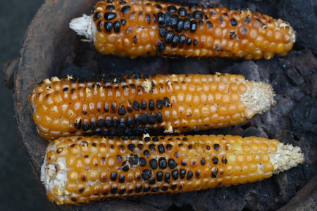 Grilled Sweet corn cob. This is a complete food for humans. It contains many vitamins. Grilled corn...