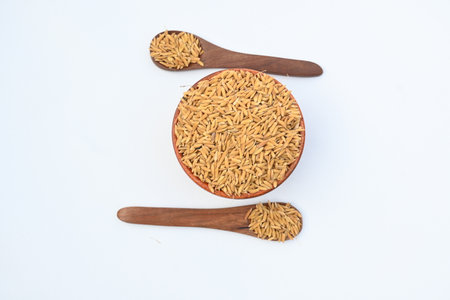 Wooden bowl filled with paddy. Its called brown rice or unmilled rice. Rice is produced by removing the husk layer from paddy. Paddy seeds or rice seeds.の写真素材