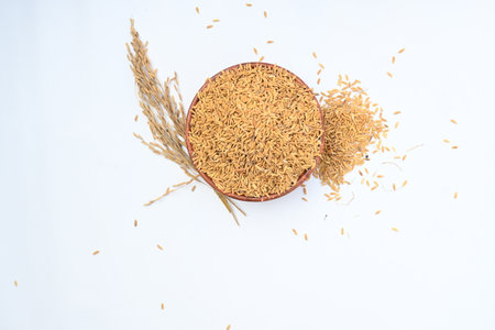 Wooden bowl filled with paddy. Its called brown rice or unmilled rice. Rice is produced by removing the husk layer from paddy. Paddy seeds or rice seeds.の写真素材