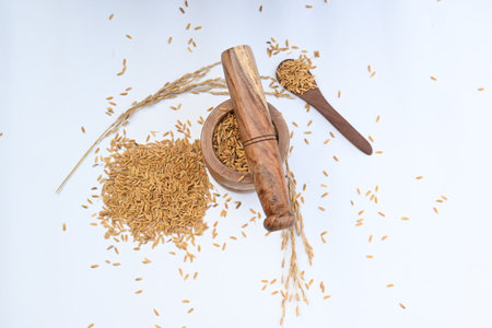 Pounding paddy with wooden mortar and pestle. Traditional method of food preparation. In the olden days, when there were no machines, the Pounding of grains was done using this.の写真素材