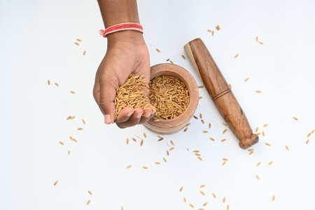 Pounding paddy with wooden mortar and pestle. Traditional method of food preparation. In the olden...