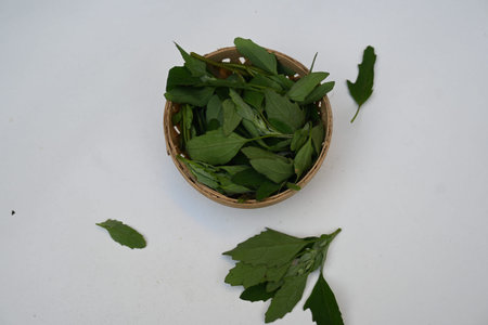 Chenopodium album on white background. It Â is a fast growingÂ weedyÂ annual plantÂ in the...