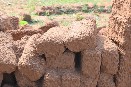 Raw clay bricks have soaked in water.
Sun dried mud bricks, ruined by getting soaked in rain water....