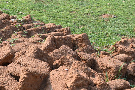 Raw clay bricks have soaked in water.
Sun dried mud bricks, ruined by getting soaked in rain water. Bricks production.の写真素材