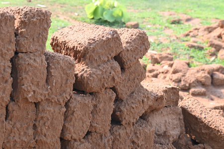 Raw clay bricks have soaked in water.
Sun dried mud bricks, ruined by getting soaked in rain water. Bricks production.の写真素材