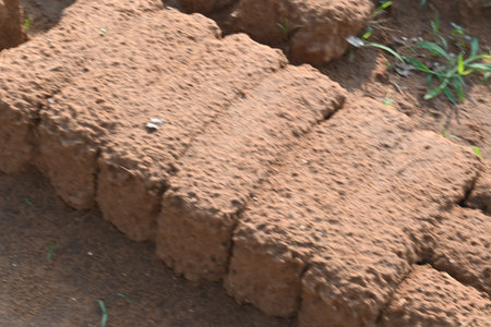 Raw clay bricks have soaked in water.
Sun dried mud bricks, ruined by getting soaked in rain water....