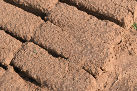 Raw clay bricks have soaked in water.
Sun dried mud bricks, ruined by getting soaked in rain water....