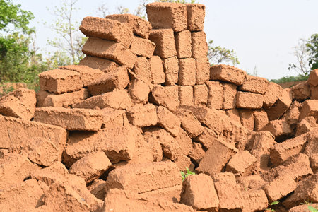 Raw clay bricks have soaked in water.
Sun dried mud bricks, ruined by getting soaked in rain water....