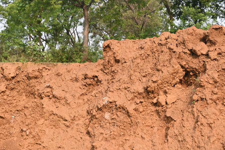 Pile of soil. The soil has been dug out and kept to make Clay brick. Red soil in Natural environment.の写真素材