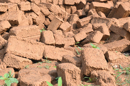 Raw clay bricks have soaked in water.
Sun dried mud bricks, ruined by getting soaked in rain water. Bricks production.の写真素材