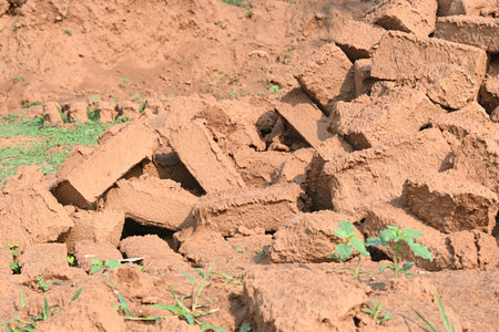 Raw clay bricks have soaked in water.
Sun dried mud bricks, ruined by getting soaked in rain water....