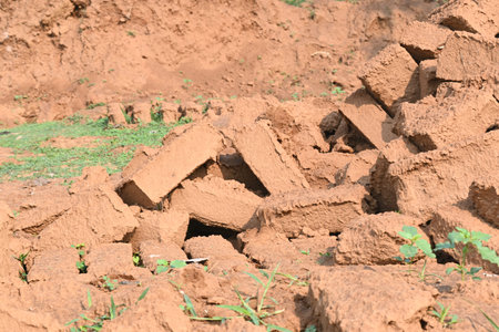 Raw clay bricks have soaked in water.
Sun dried mud bricks, ruined by getting soaked in rain water....