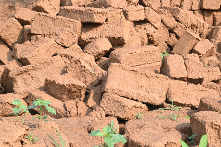 Raw clay bricks have soaked in water.
Sun dried mud bricks, ruined by getting soaked in rain water. Bricks production.の写真素材