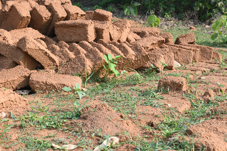 Raw clay bricks have soaked in water.
Sun dried mud bricks, ruined by getting soaked in rain water....