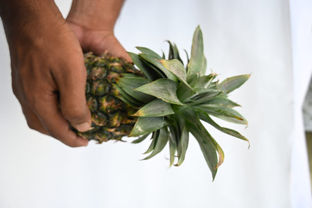 Pineapple or Ananas comosus on white background. It is aÂ tropical plantÂ with an edible fruit....