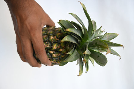 Pineapple or Ananas comosus on white background. It is a tropical plant with an edible fruit. It is...